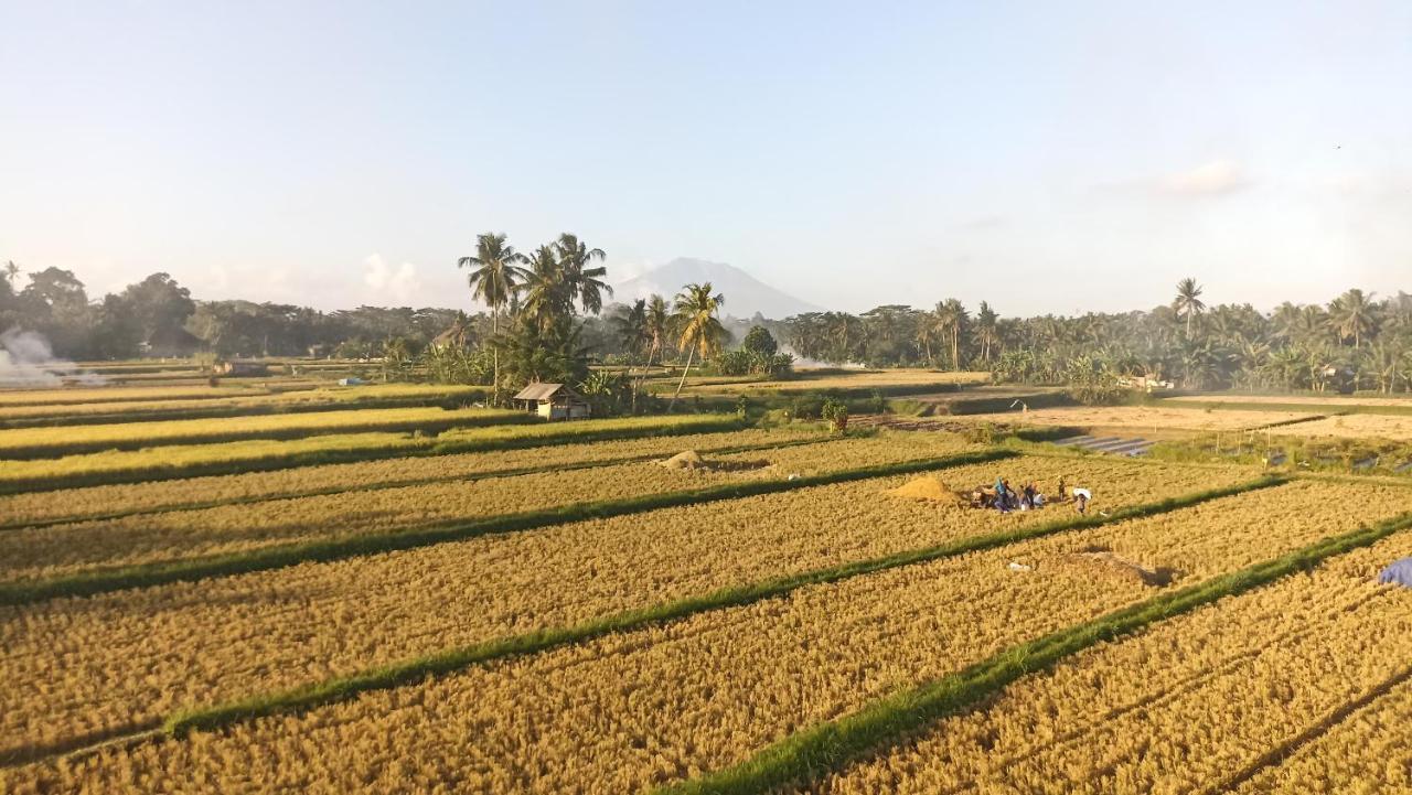 Gending Sari House Apartment Ubud  Ngoại thất bức ảnh